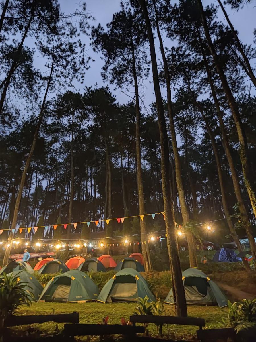kondisi Benjor Pine Camping Ground saat malam hari (dok.pribadi/Benjor Pine Camping Ground)