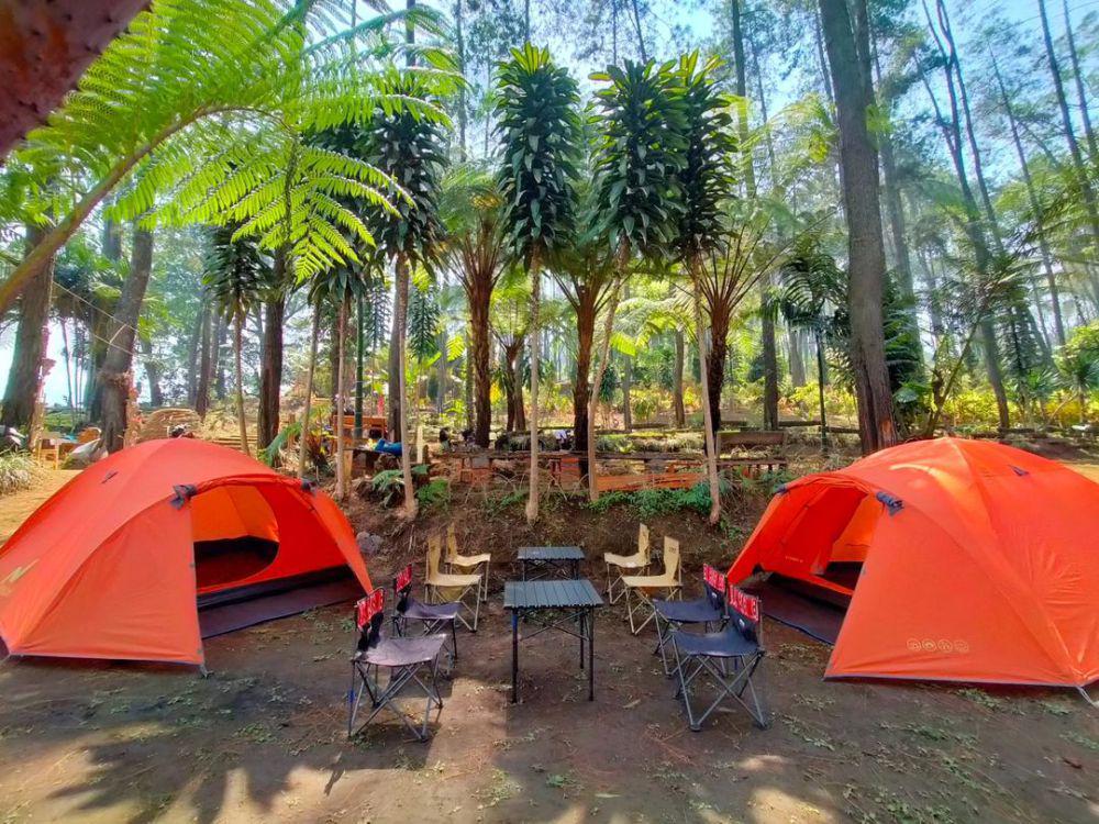 Benjor Pine Camping Ground (instagram.com/benjorpine_campground)
