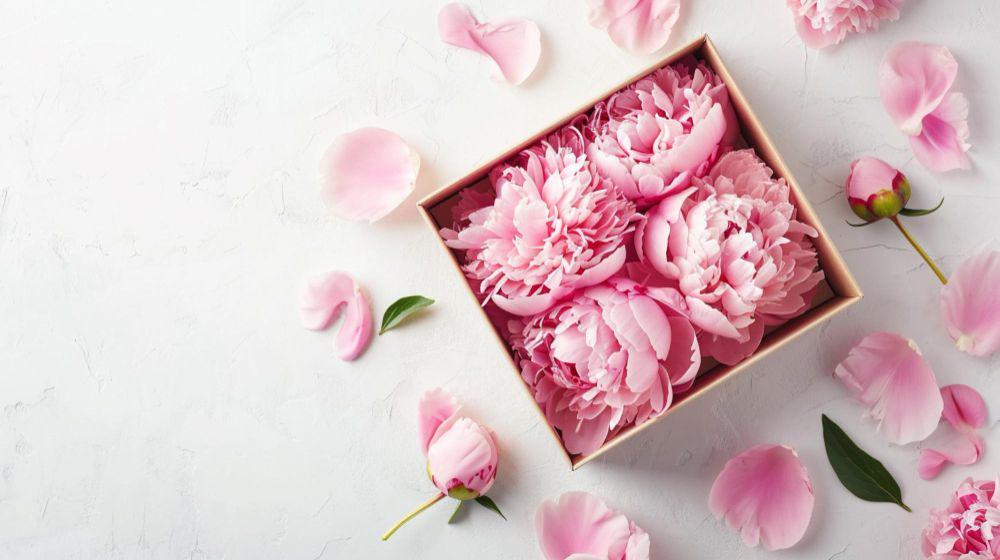 ilustrasi bunga peony (freepik.com/frimufilms)
