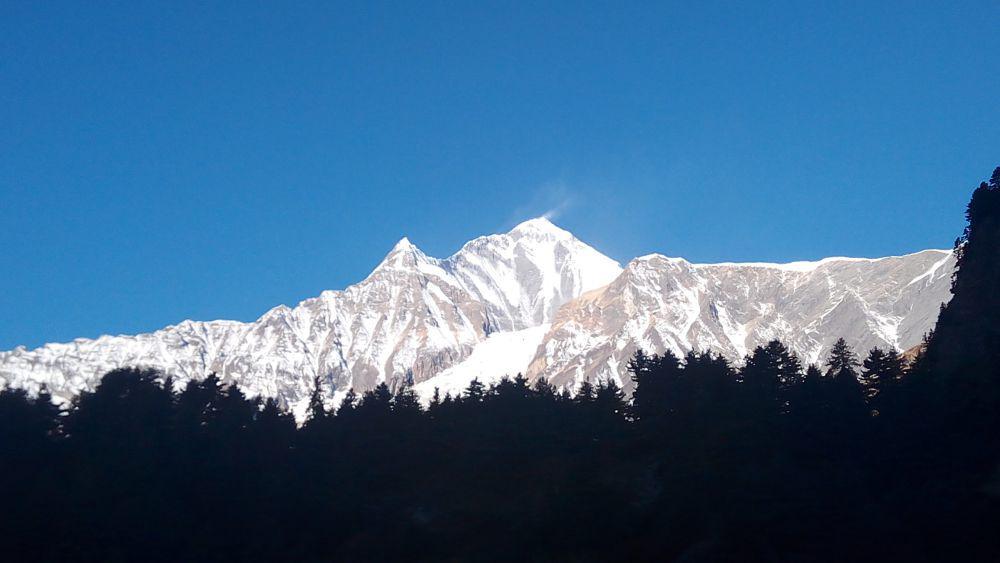 Nanga Parbat dibelakang hutan (basecamptrekking.com)