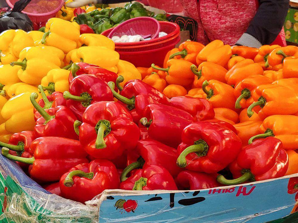 ilustrasi paprika segar (pixabay.com/BON-SIL KOO)
