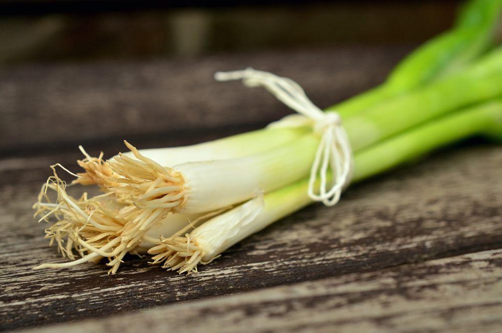 ilustrasi daun bawang (pixabay.com/congerdesign)