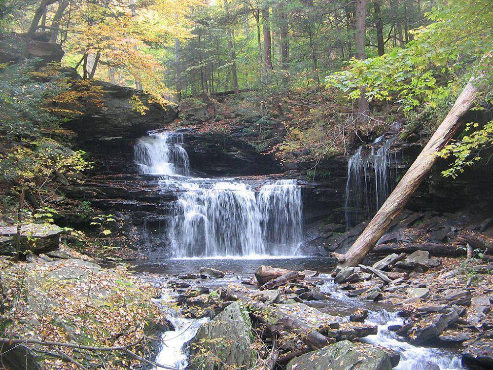 ilustrasi Ricketts Glen State Park (commons.wikimedia.org/Ruhrfisch)