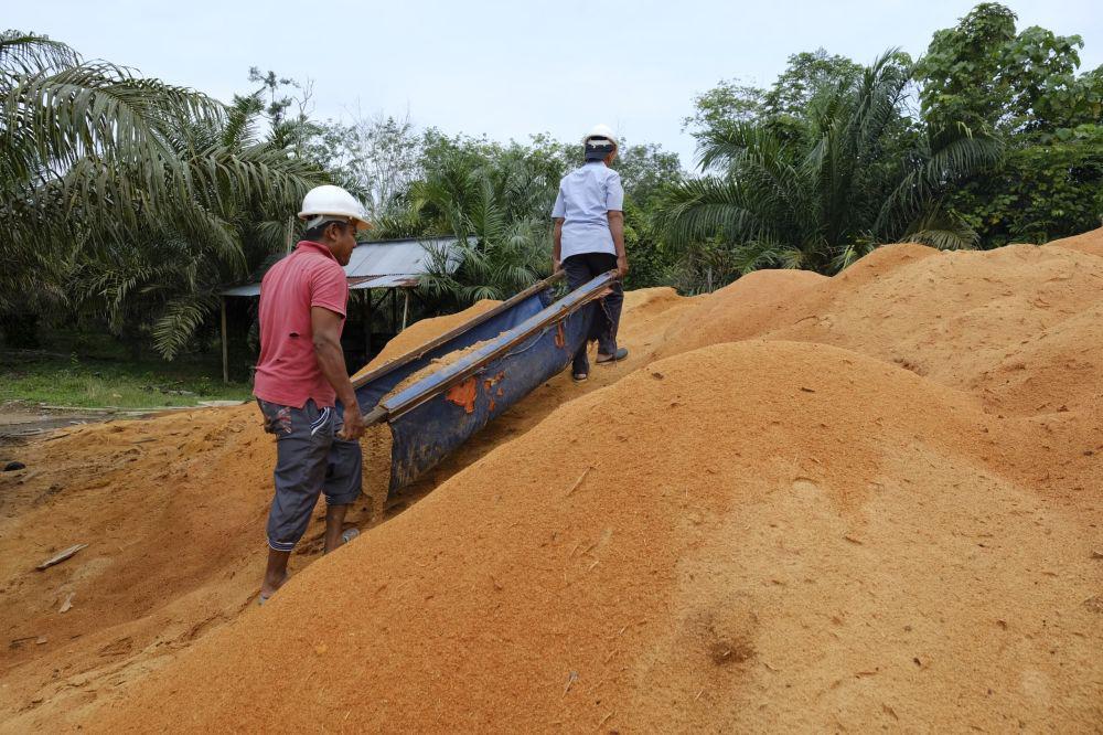 PLTU Ombilin Manfaatkan Limbah Serbuk Kayu untuk Hasilkan Listrik