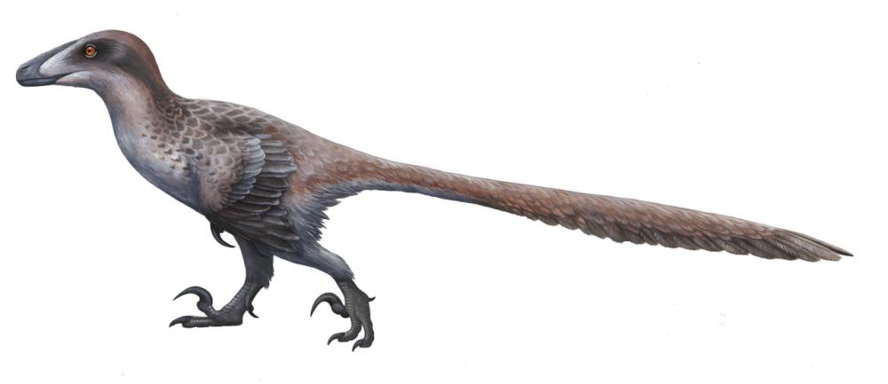 Ilustrasi Deinonychus (commons.wikimedia.org/Emily Willoughby)