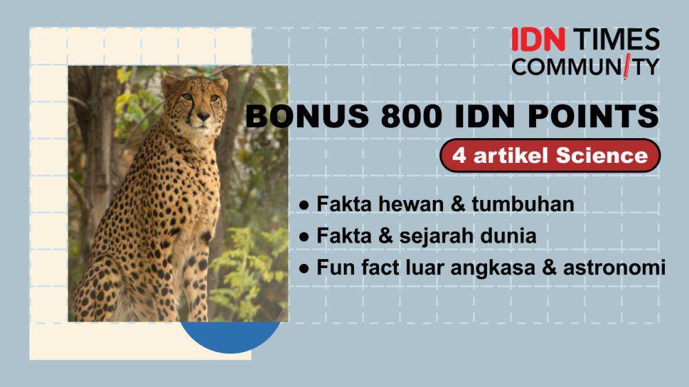 Kumpulan bonus IDN Points IDN Times Community (IDN Times/Sukma Mardya Shakti)