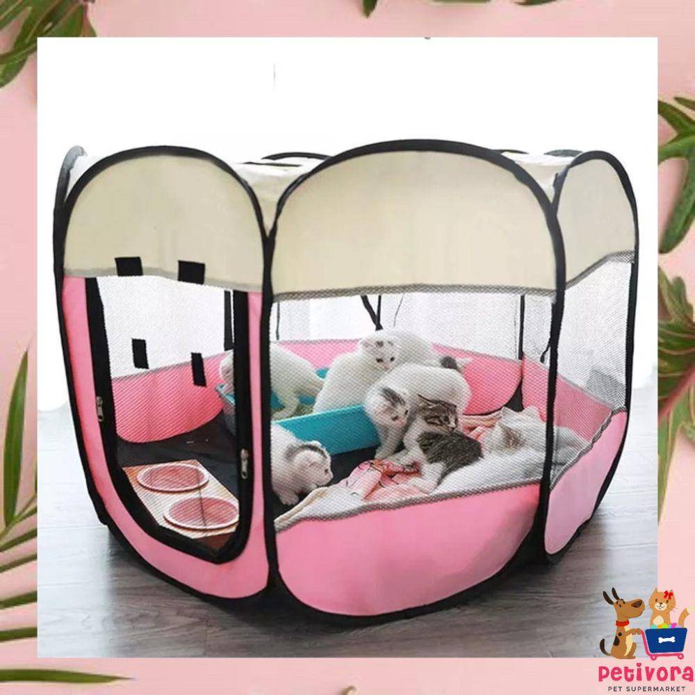 ilustrasi kandang kucing (shopee.co.id/petivora)