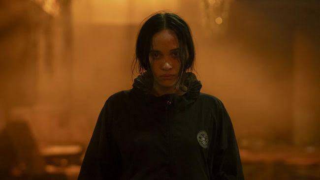 The Shadow Strays (dok. Netflix/The Shadow Strays)