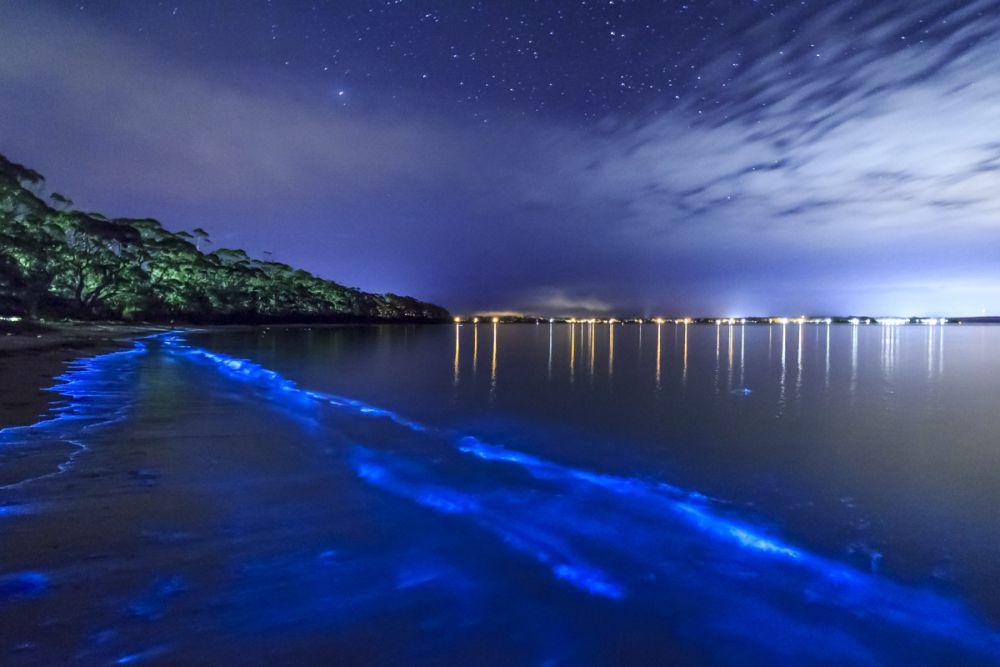 Mosquito Bay. (https://www.lifehack.org)