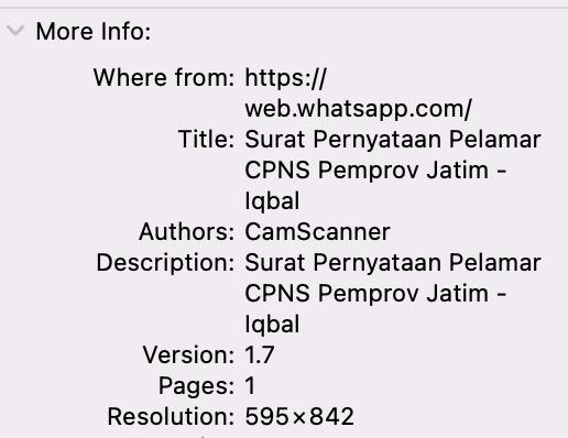 Tangkapan layar dokumen PDF untuk CPNS 2024 dengan spesifikasi versi 1.7. (dok.pribadi/Reyvan Maulid)