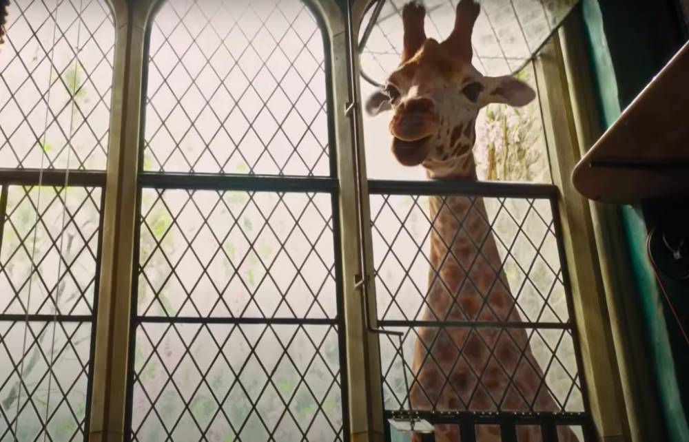 cuplikan film Dolittle (dok. Universal Pictures/Dolittle)