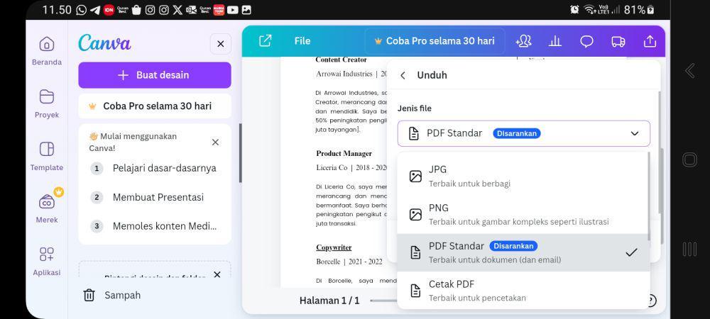 Ilustrasi menyimpan resume di canva (Dok. Pribadi)