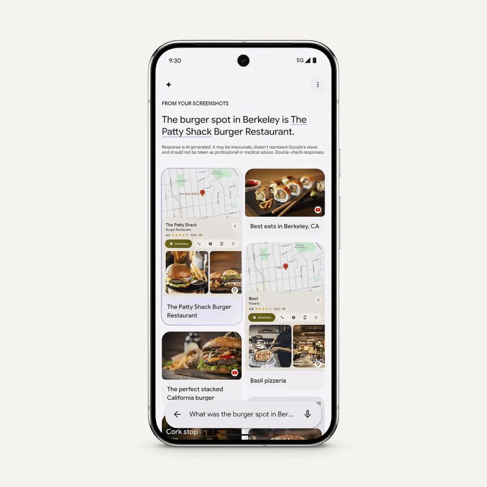 Potret fitur Pixel Screenshoots pada Google Pixel 9 (store.google.com)