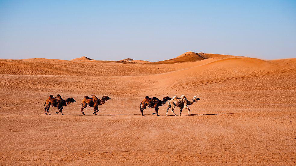 Gurun Tengger, China. (news.cgtn.com)