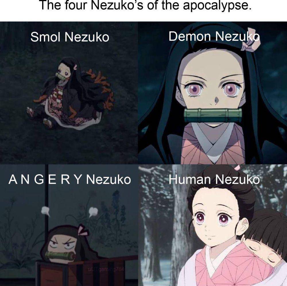 potret meme lucu Nezuko (reddit.com/user/JTgaming784)