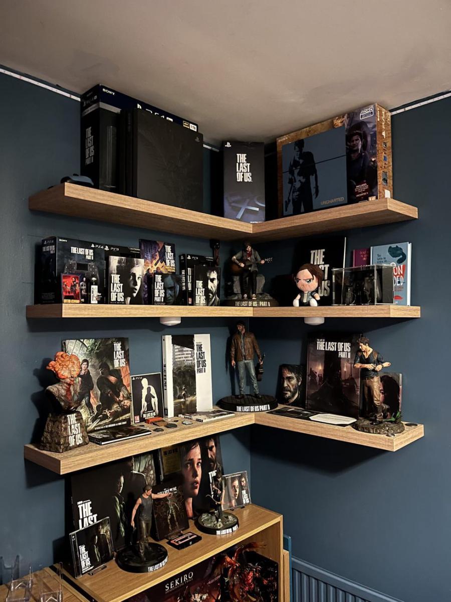 potret koleksi ciamik The Last of Us (reddit.com/user/No-Equal-7753)