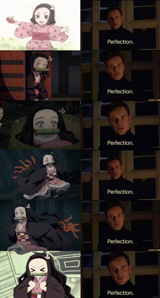 potret meme lucu Nezuko (reddit.com/user/KarutoKazehaya)