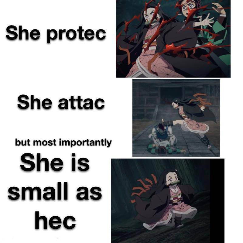potret meme lucu Nezuko (reddit.com/r/Animemes)