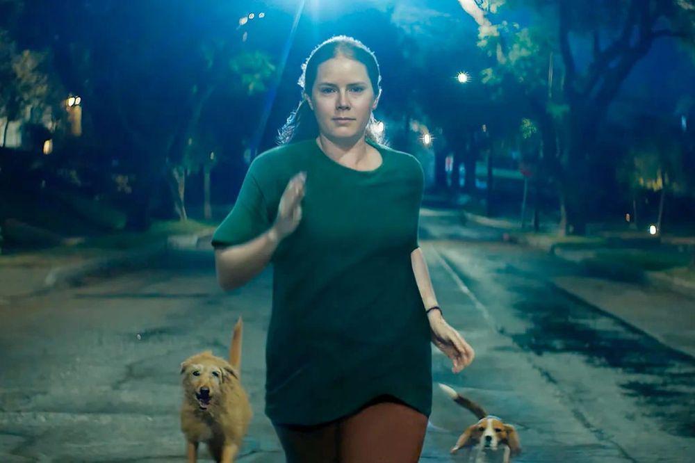 Nightbitch (dok. Annapurna Pictures/Nightbitch)