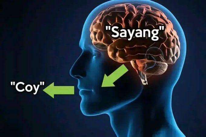 Meme perbedaan antara pikiran dan ucapan (x.com/spnicy)