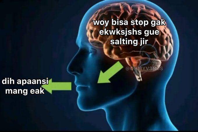 8 Meme Perbedaan Antara Pikiran dan Ucapan, Bikin Senyum Terpaksa!
