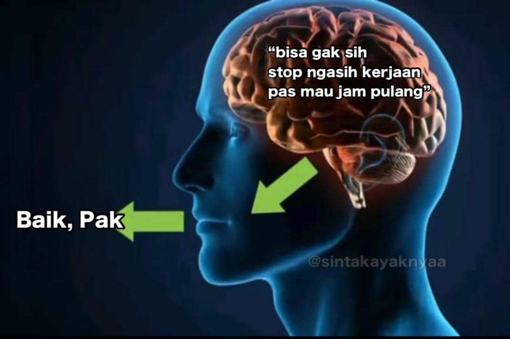 Meme perbedaan antara pikiran dan ucapan (x.com/sintakayaknyaa)