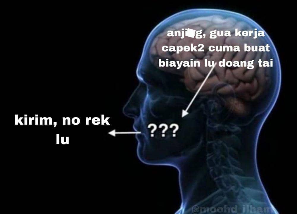 Meme perbedaan antara pikiran dan ucapan (x.com/Moohd_Ilham)