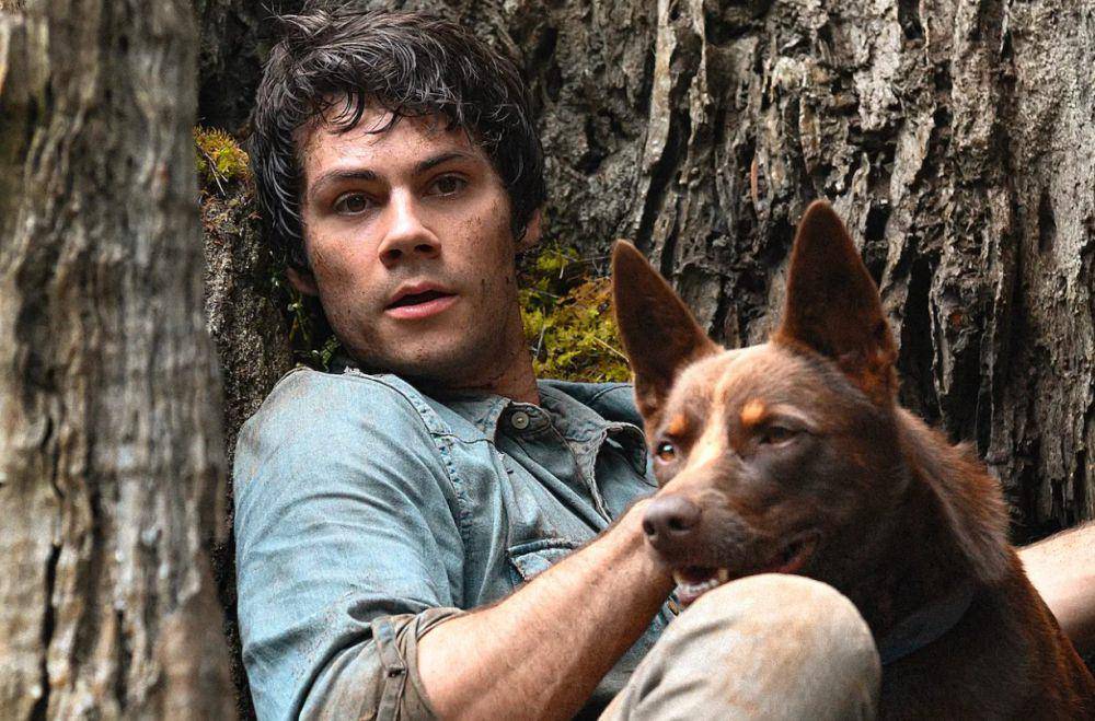 Dylan O'Brien dalam Love and Monsters (dok. Netflix/Love and Monsters)