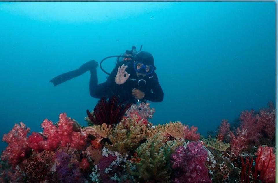 Desa Wisata Pulau Pahawang, Liburan Sekaligus Belajar Lingkungan
