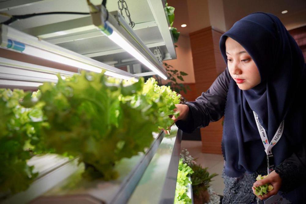 Menteri Teten Ajak Anak Muda Tak Takut Berbisnis di Sektor Pertanian