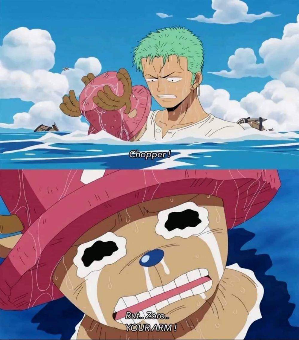 potret meme kocak Chopper (reddit.com/user/Siribreja)