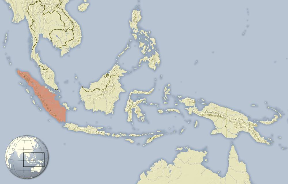Wilayah penyebaran landak sumatra (commons.m.wikimedia.org/NordNordWest)