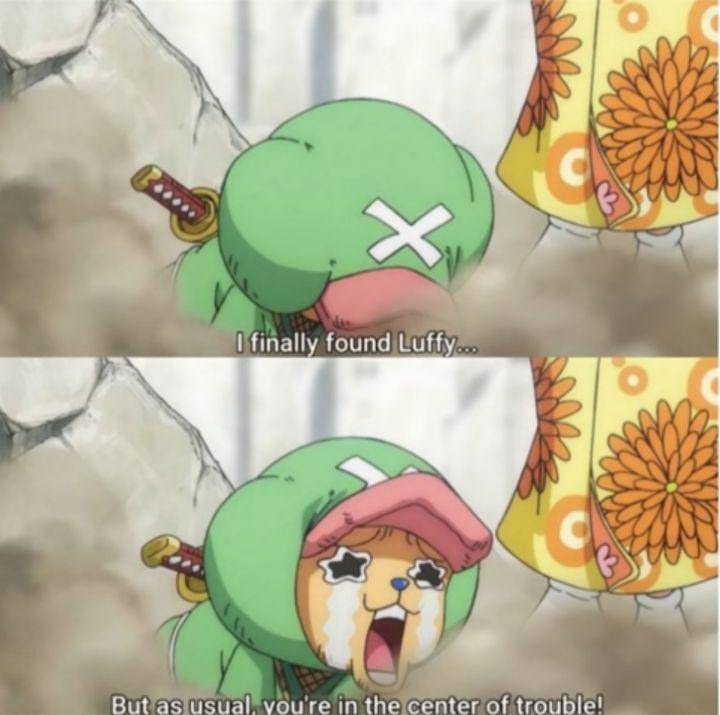 potret meme kocak Chopper (reddit.com/user/YSVEDT)