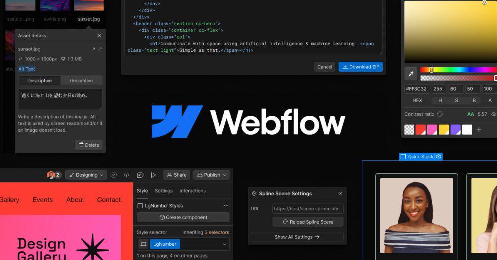 Dok: webflow.com