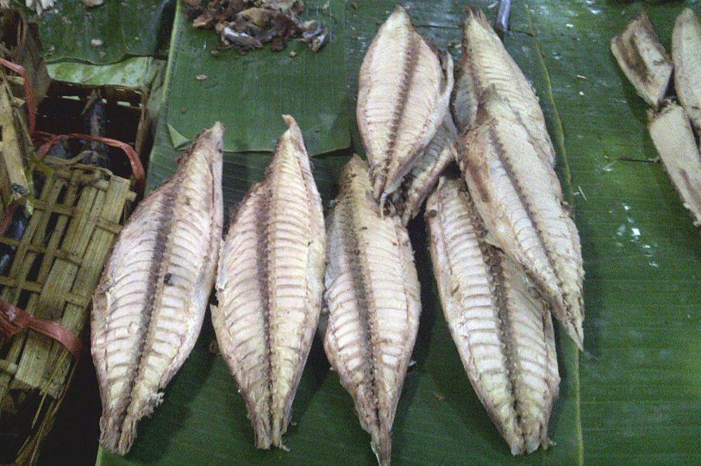 ilustrasi ikan pindang yang telah dibersihkan (commons.wikimedia.org/Okkisafire)