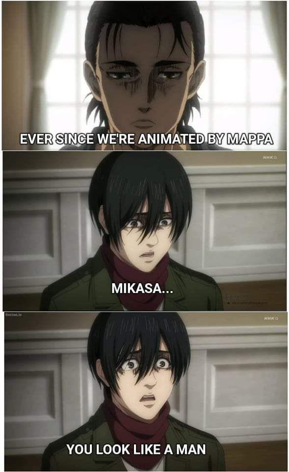 potret meme Mikasa (reddit.com/user/Boddup)