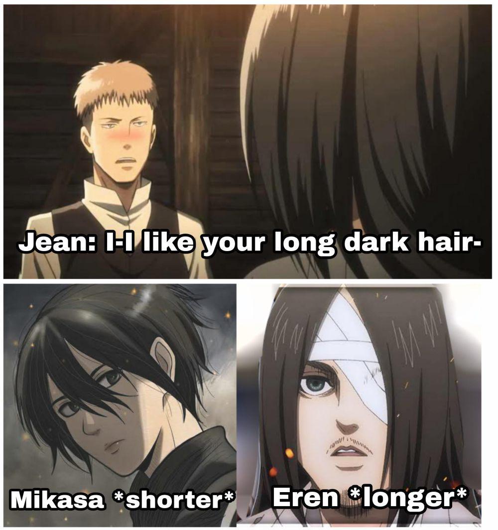 potret meme Mikasa (reddit.com/user/pbrussay)