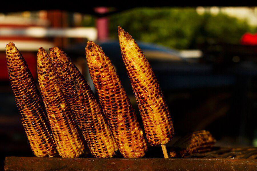 Ilustrasi jagung bakar (freepik.com/freepik)
