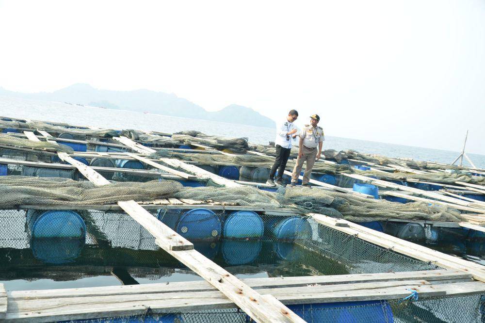 Penampakan tambak ikan kerapu asal Lampung diekspor ke Hongkong. (Dok. Karantina Lampung).