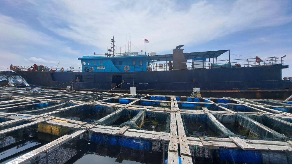 Penampakan tambak ikan kerapu asal Lampung bakal diekspor ke Hongkong. (Dok. Karantina Lampung).