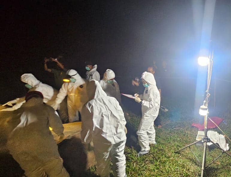 Penampakan gajah Sumatera betina Bunga mati di TNWK Lampung Timur. (Dok. Polres Lampung Timur)?