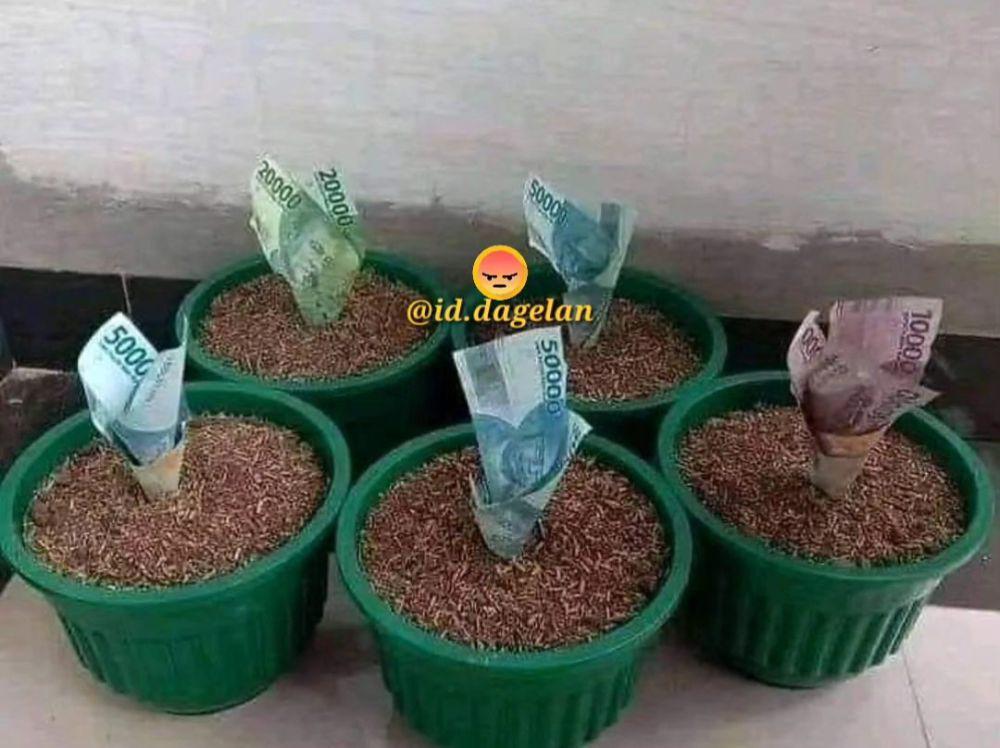 potret uang di tempat tak terduga (instagram.com/id.dagelan)
