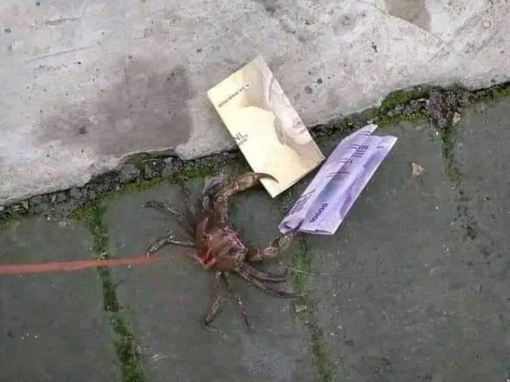 8 Potret Uang di Tempat Gak Terduga, Rezeki Nomplok saat Tanggal Tua