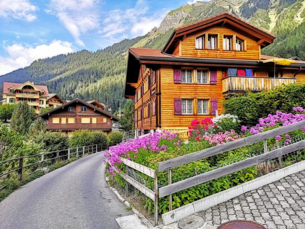 ilustrasi Swiss (unsplash.com/Tienko Dima)