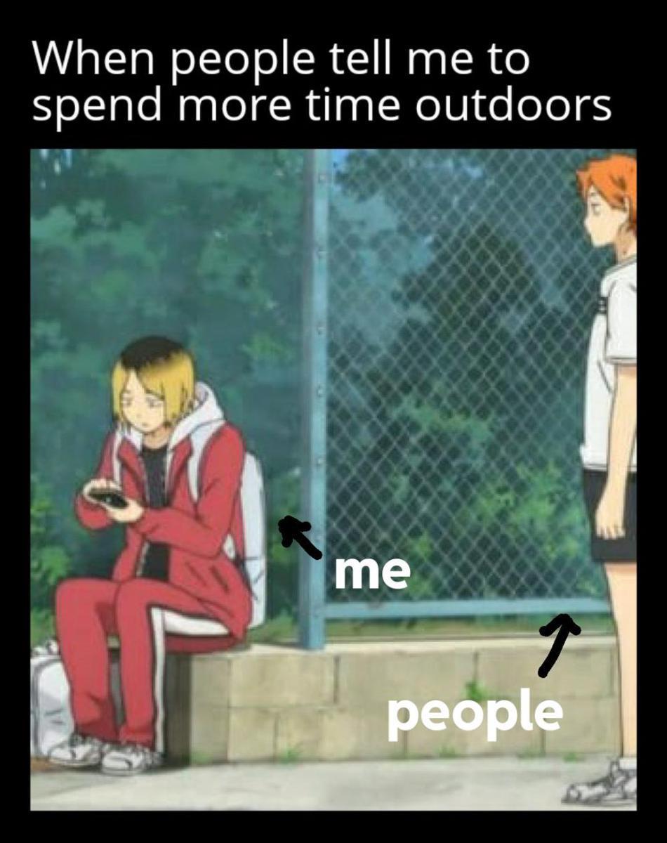 potret meme Hinata Haikyu!! (reddit.com/user/Usvakettu)