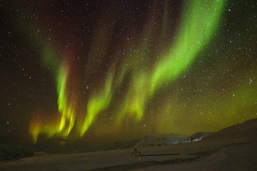 ilustrasi The Northern Lights di Longyearbyen, Svalbard (unsplash.com/Cezary Morga)