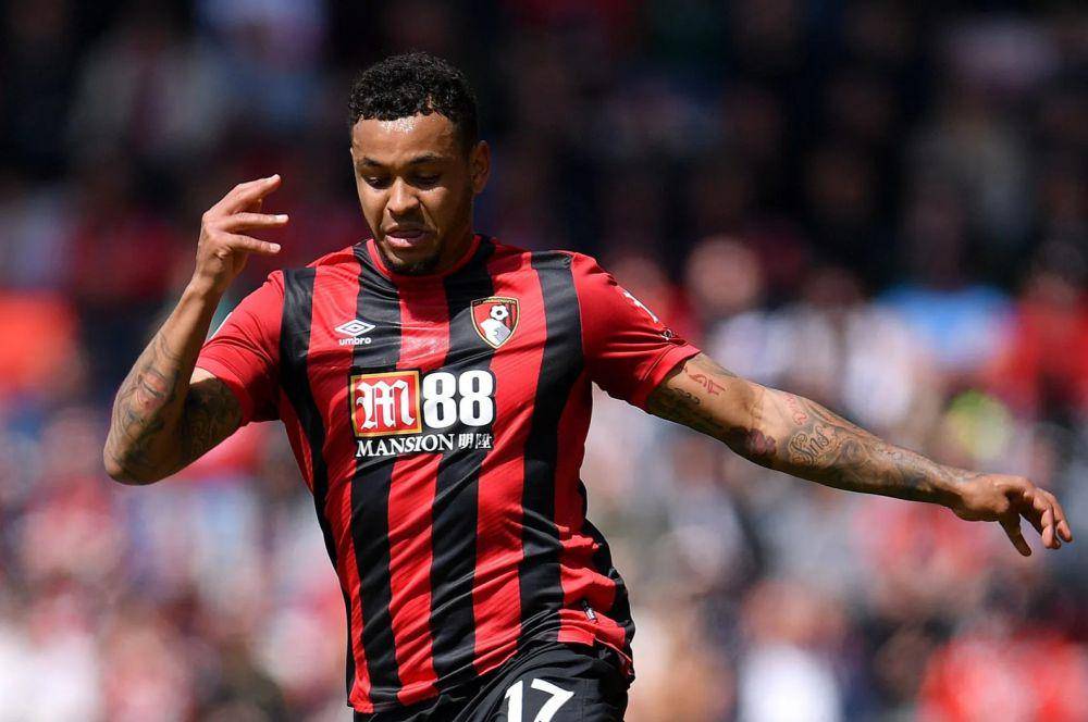 Joshua King (premierleague.com)