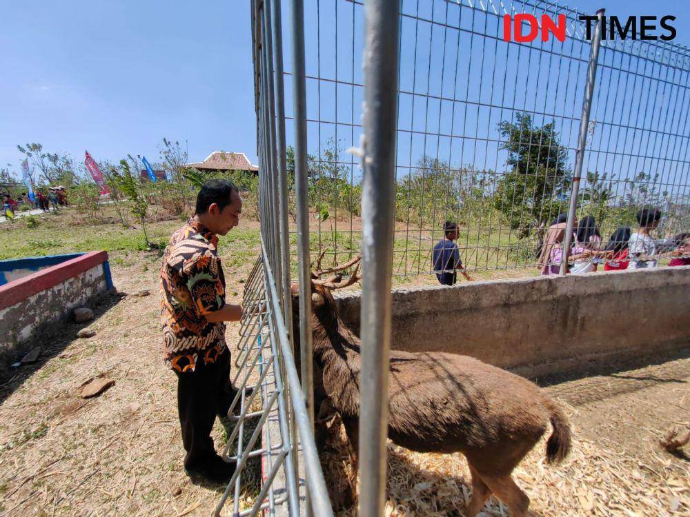 Lokasi konservasi Rusa Timor di Puncak Patra di Desa Sarimulyo, Kemusu, Boyolali. (IDN Times/Larasati Rey)