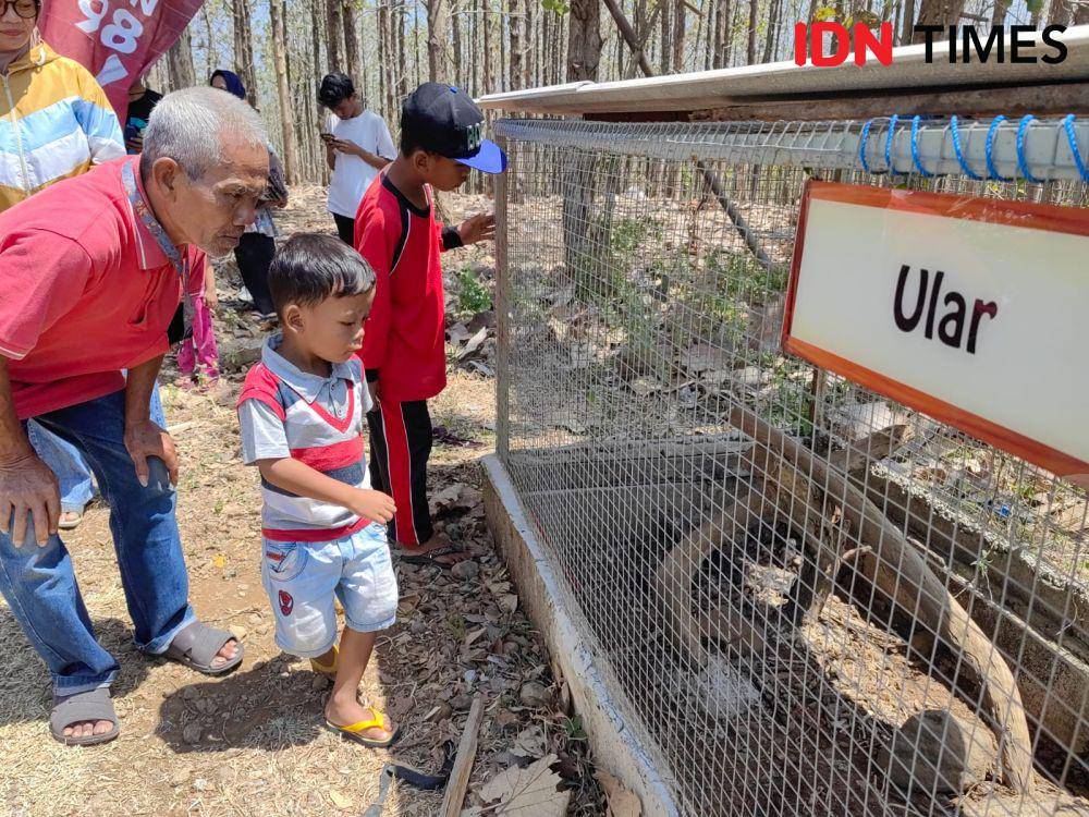Hewan reptil yang ditemukan di kawasan Puncak Patra di Desa Sarimulyo, Kemusu, Boyolali. (IDN Times/Larasati Rey)