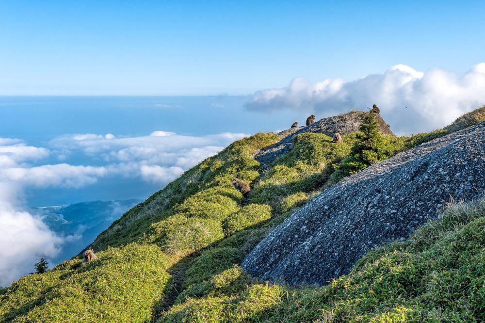Pulau Yukushima (pixabay.com/Kanenori)